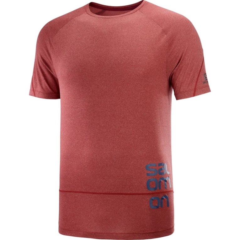 Dark Red Salomon Cross Run Graphic Short Sleeve Men's T-Shirts | PH 34210U